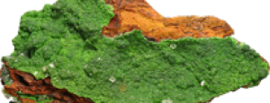 Konichalcit – Naturstein online kaufen