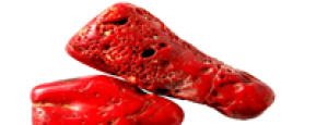 Korall – Naturstein online kaufen