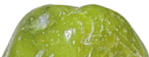 Lizardit – Naturstein online kaufen