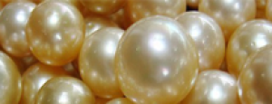 Perle – Naturstein online kaufen