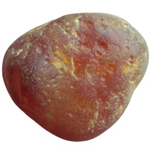 Kornelian2501184